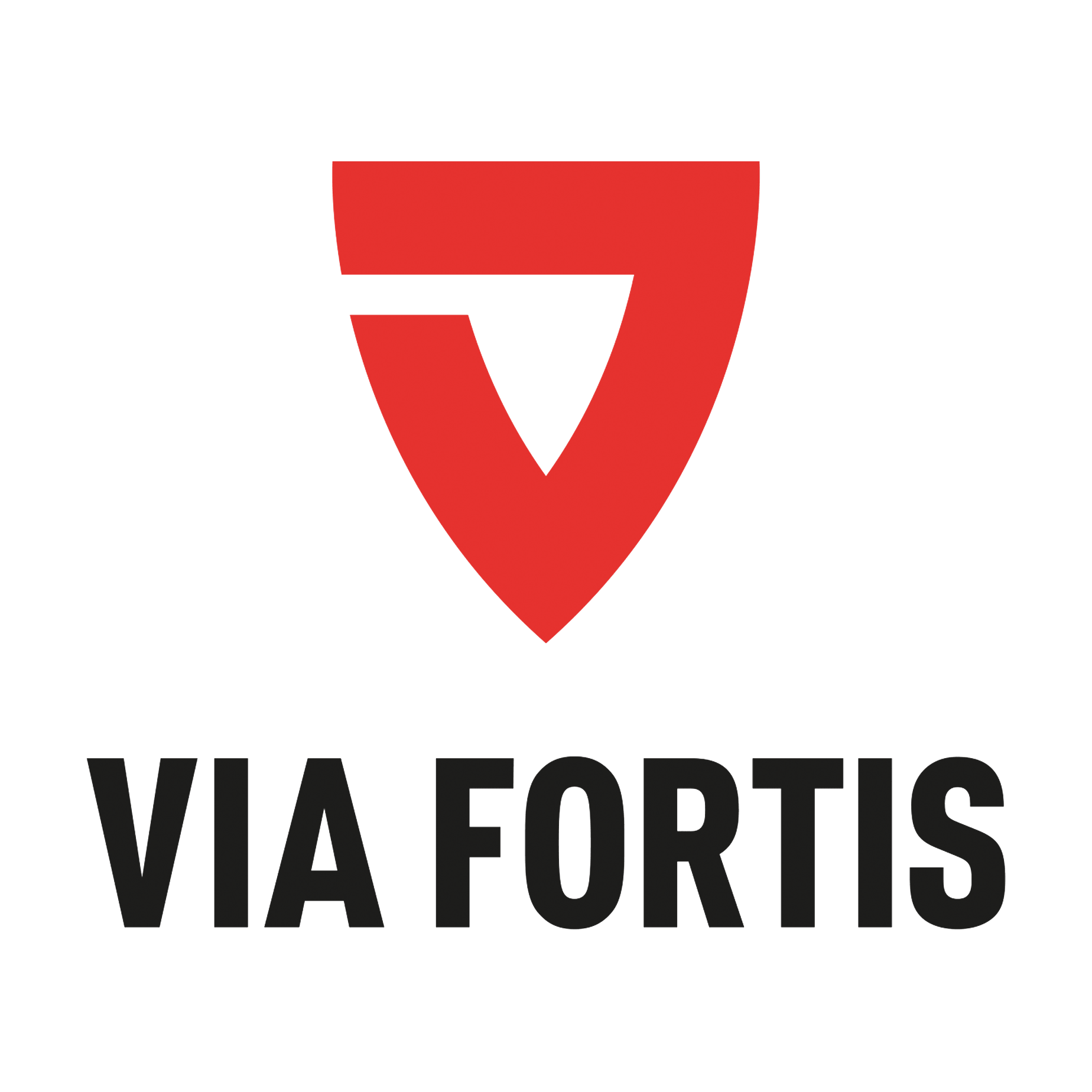 You are currently viewing VIA FORTIS möchte den DCSV fördern