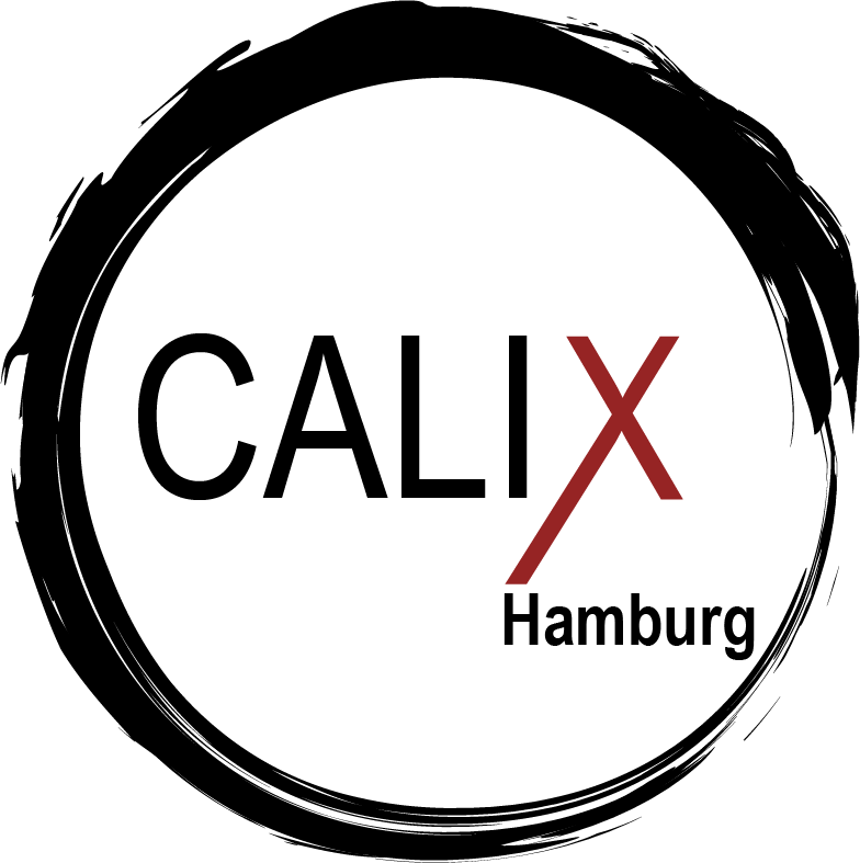 You are currently viewing Calisthenics Hamburg
