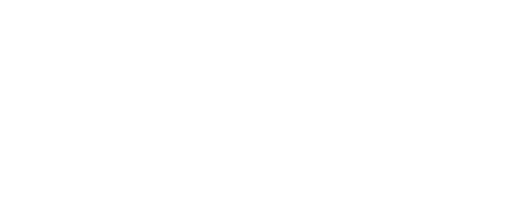 Logo DCSV weiß