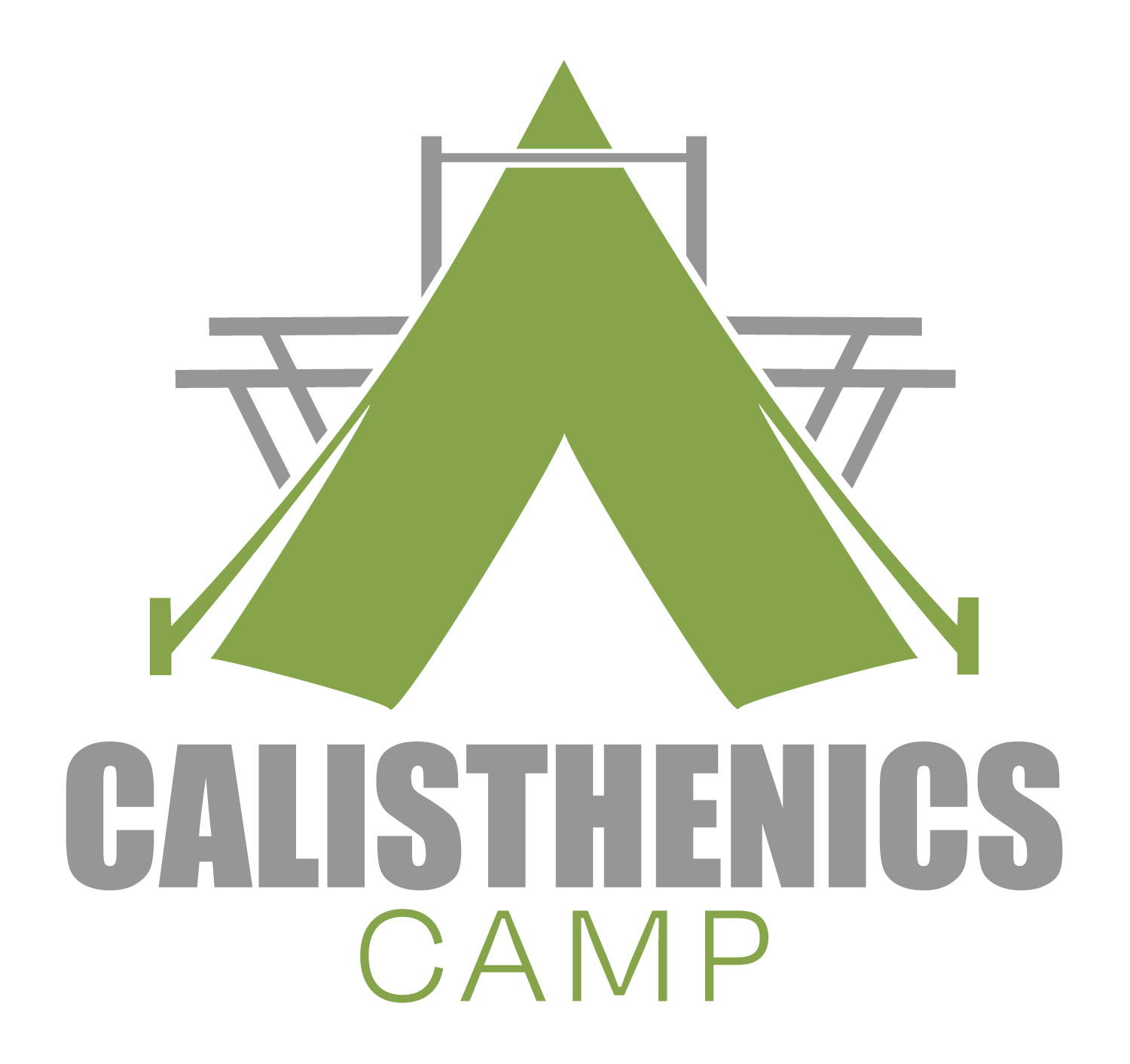 Read more about the article Calisthenics Camp Vol. 1